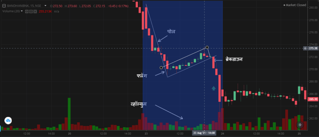 Bearish Flag on Chart min